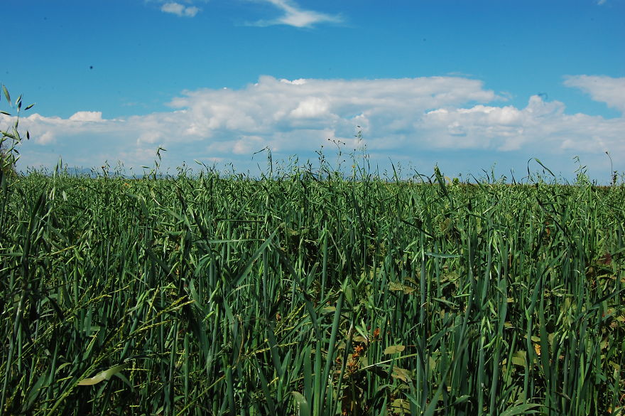 I Travelled 50 Years Back In Time And I Found This