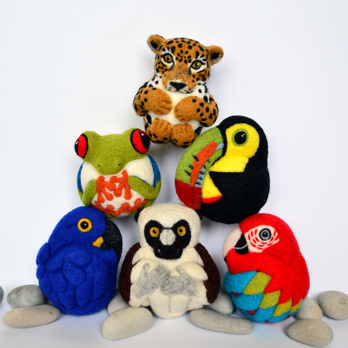Rainforest Animals And Birds Set