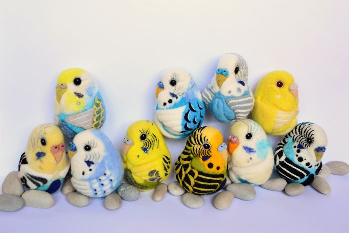 Budgies