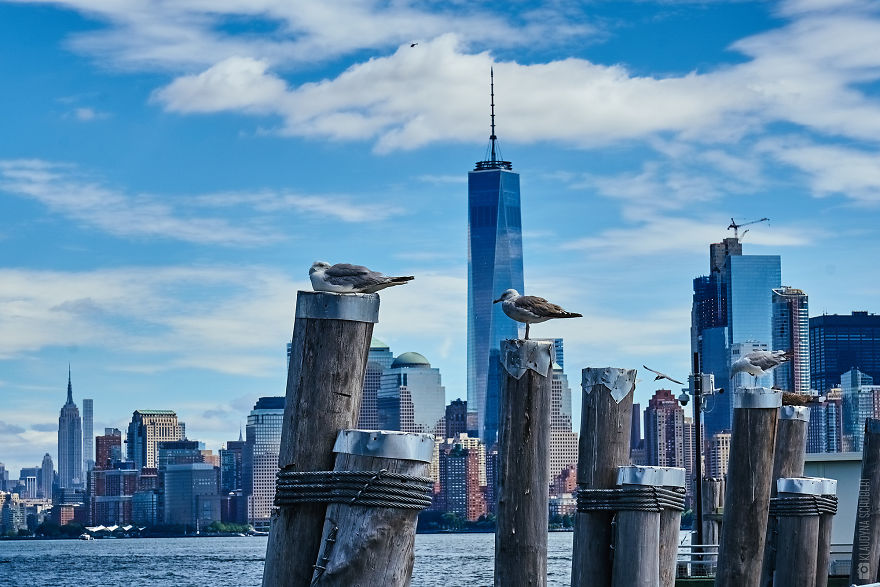 What I Found In New York