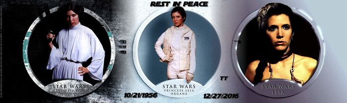 The Other One I Put Together. She Will Be Missed.