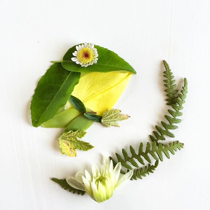 @floraforager Turns Nature Into Art