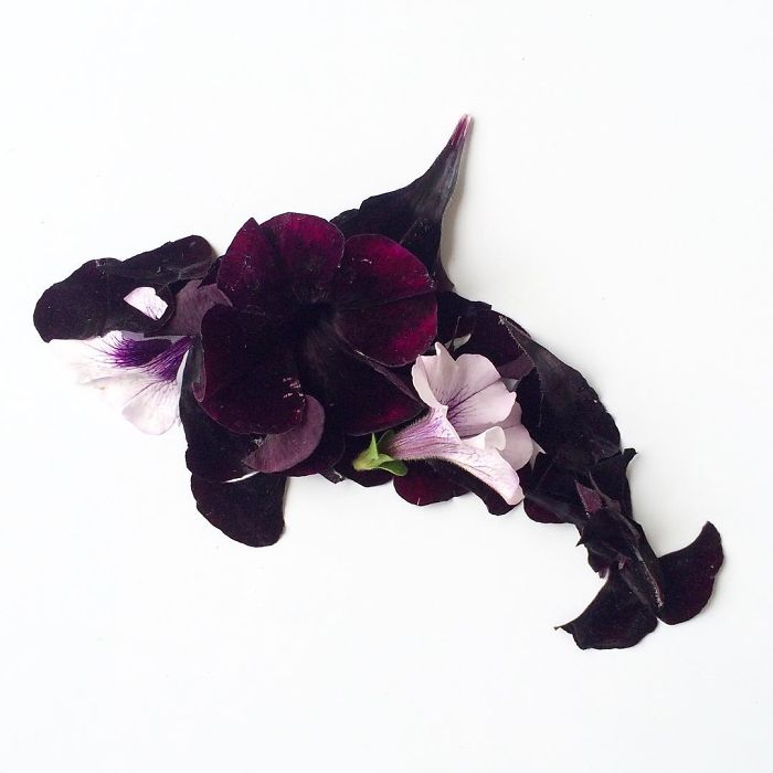 @floraforager Turns Nature Into Art