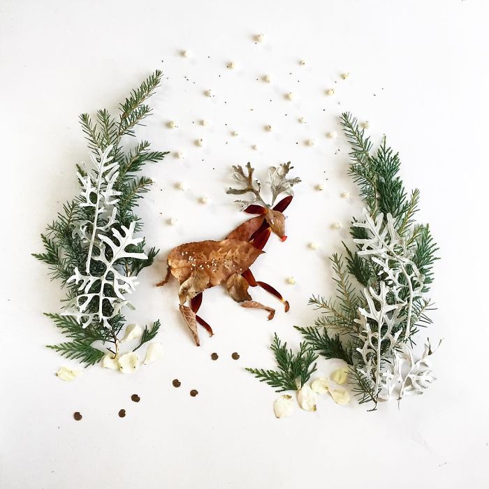 @floraforager Turns Nature Into Art
