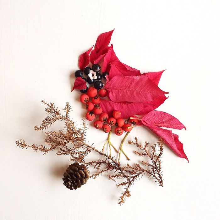 @floraforager Turns Nature Into Art