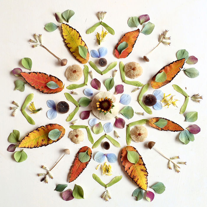 @floraforager Turns Nature Into Art