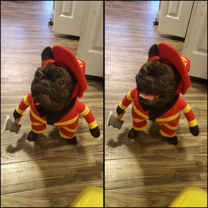 Good Little Fire Fighter