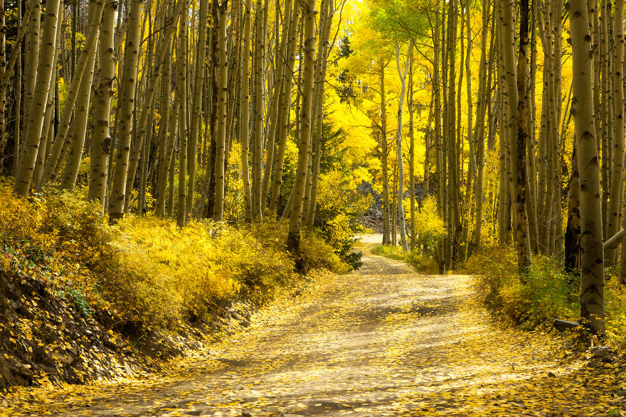 Last Dollar Road, Colorado
