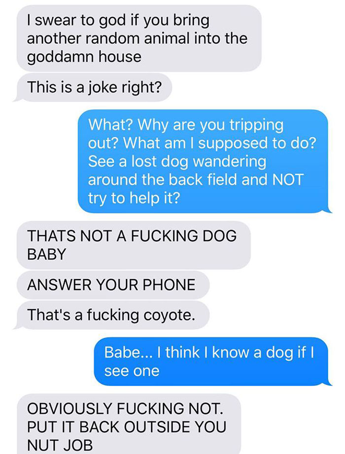 Wife Texts Husband She Brought A Dog Home While The Pic Shows A Coyote, And He Seriously Freaks Out Wife Texts Husband She Brought A Dog Home While The Pic Shows A Coyote, And He Seriously Freaks Out