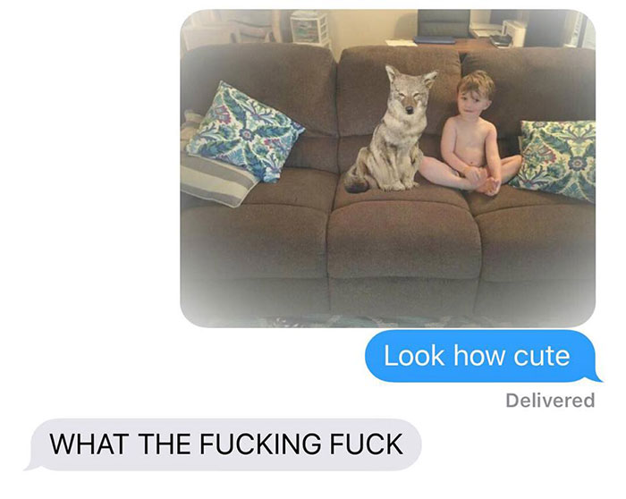 Wife Texts Husband She Brought A Dog Home While The Pic Shows A Coyote, And He Seriously Freaks Out