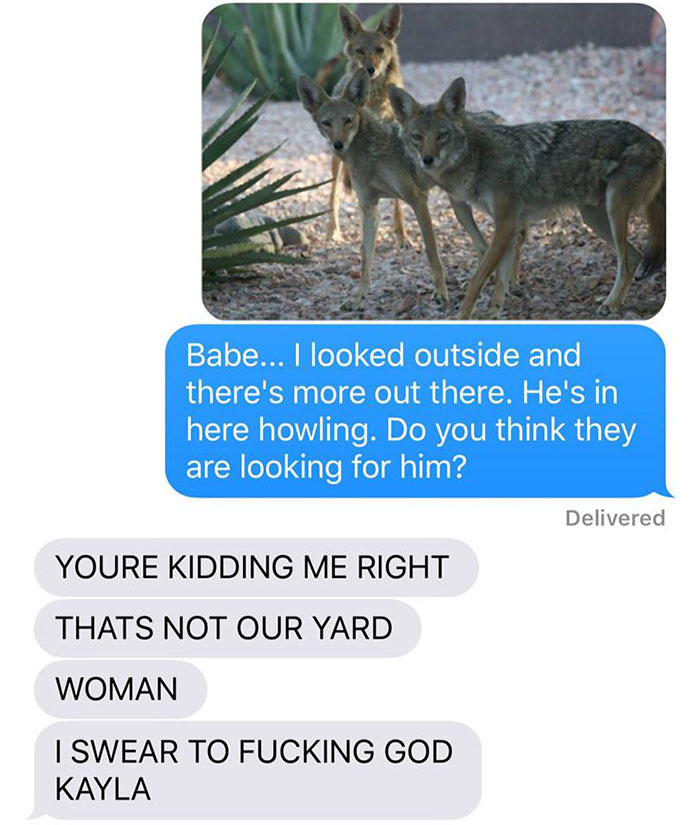 Wife Texts Husband She Brought A Dog Home While The Pic Shows A Coyote, And He Seriously Freaks Out