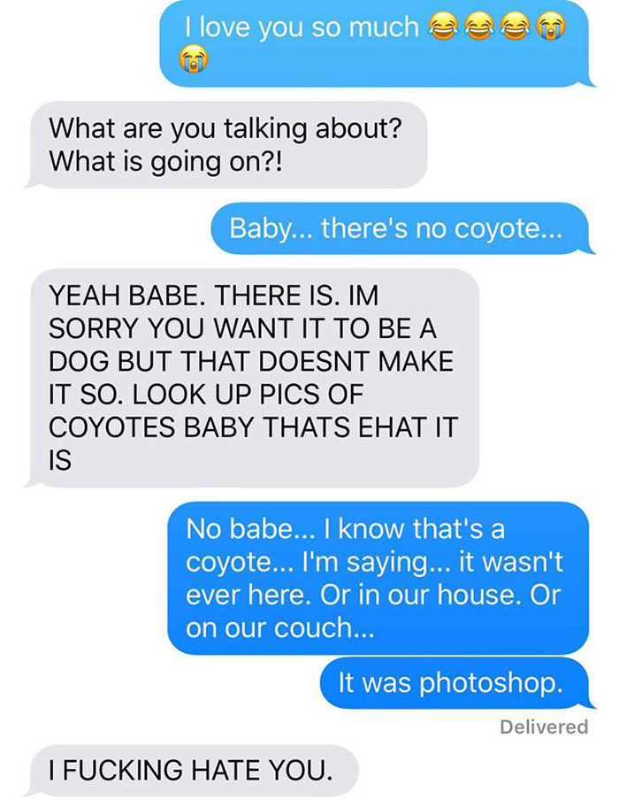 Wife Texts Husband She Brought A Dog Home While The Pic Shows A Coyote, And He Seriously Freaks Out Wife Texts Husband She Brought A Dog Home While The Pic Shows A Coyote, And He Seriously Freaks Out