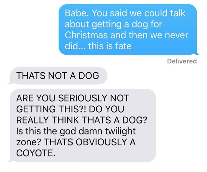 Wife Texts Husband She Brought A Dog Home While The Pic Shows A Coyote, And He Seriously Freaks Out Wife Texts Husband She Brought A Dog Home While The Pic Shows A Coyote, And He Seriously Freaks Out