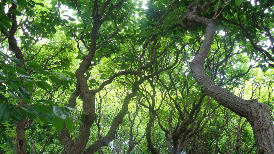 I Collected My Best Photography Over The Past 2 Years.