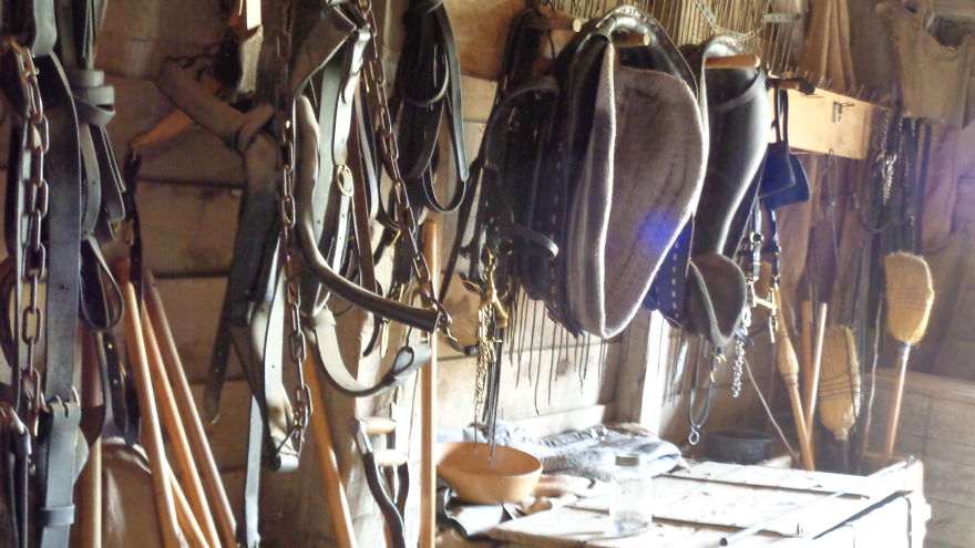 I Collected My Best Photography Over The Past 2 Years.