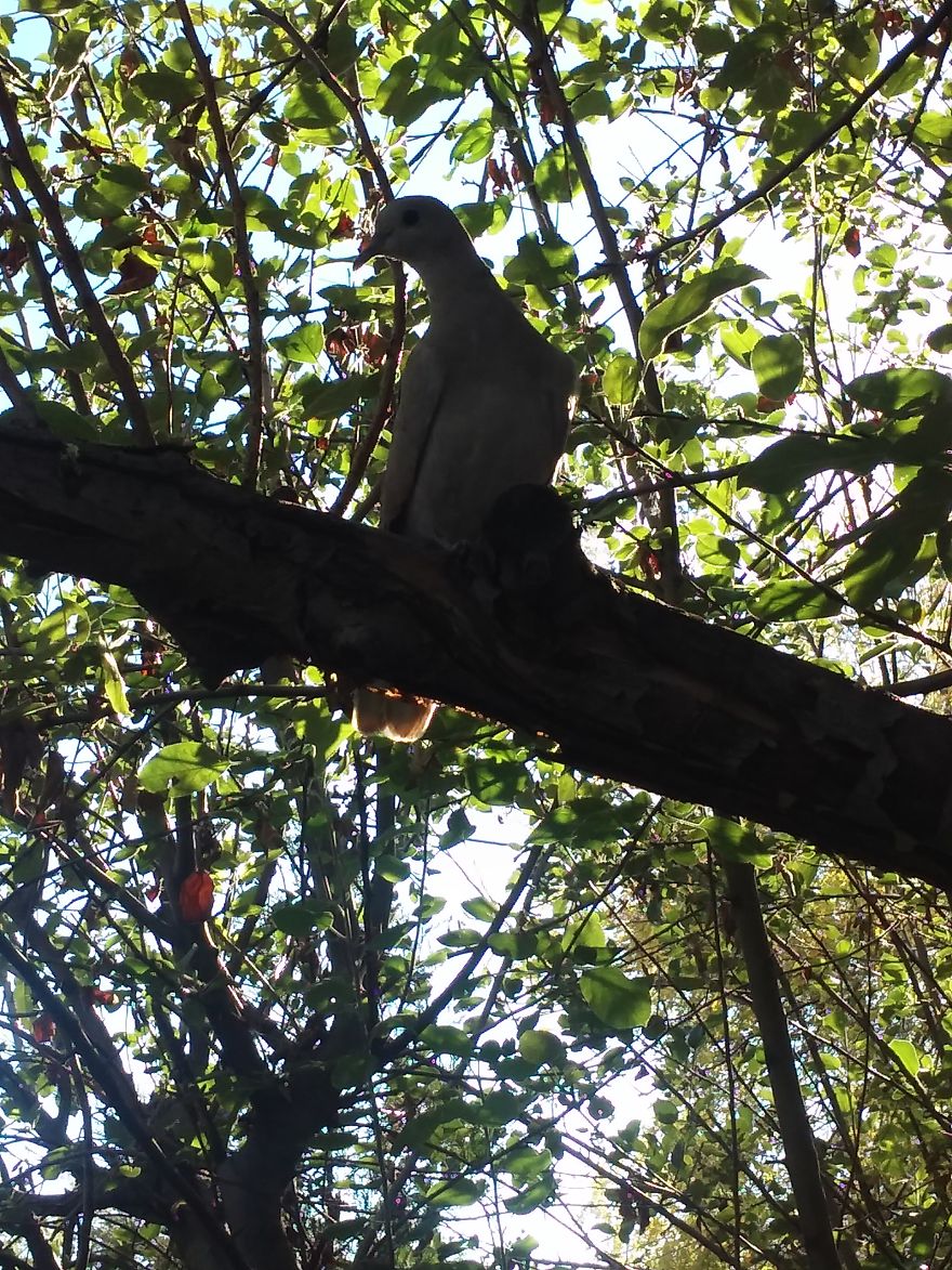 I Collected My Best Photography Over The Past 2 Years.