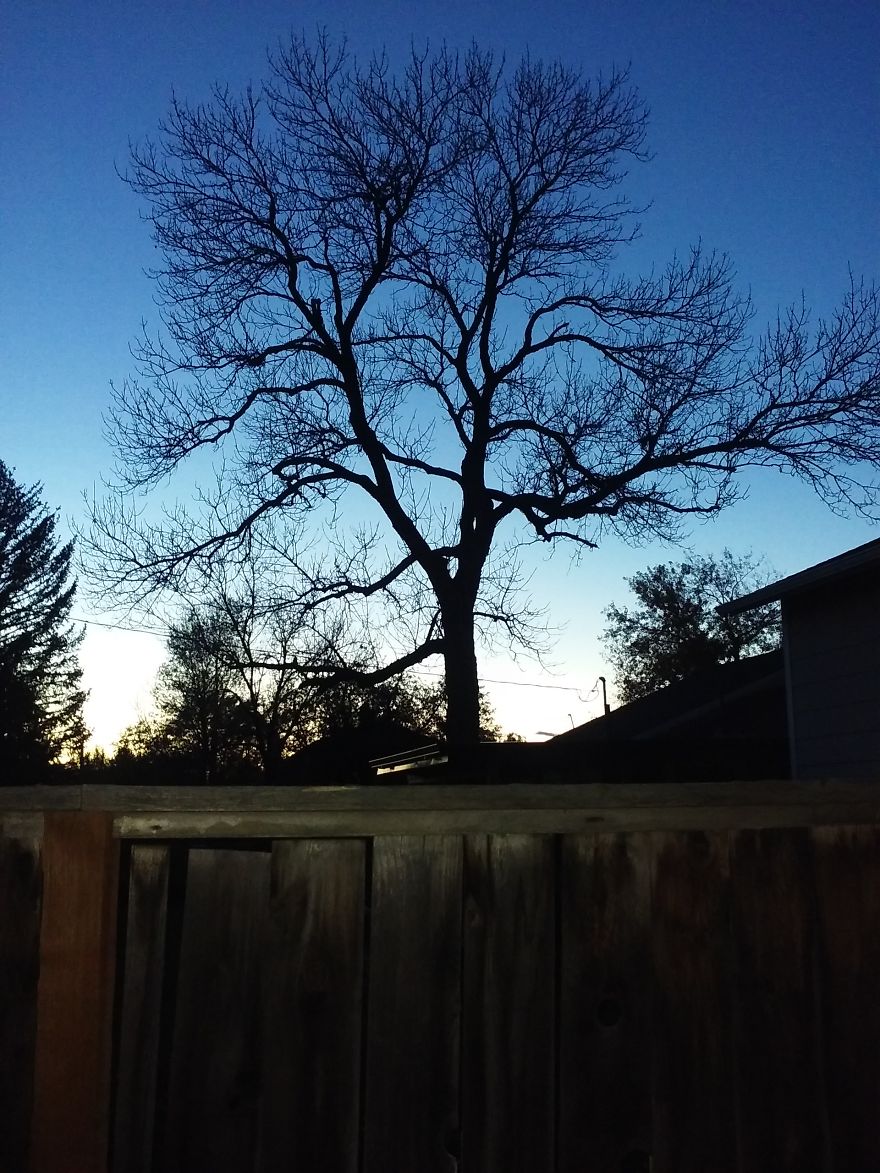 I Collected My Best Photography Over The Past 2 Years. I Collected My Best Photography Over The Past 2 Years.