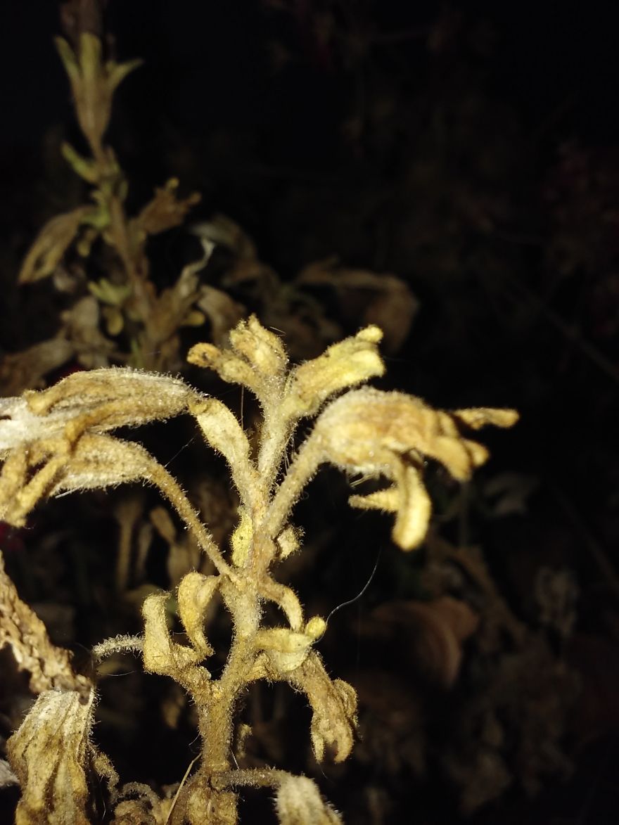 I Collected My Best Photography Over The Past 2 Years.