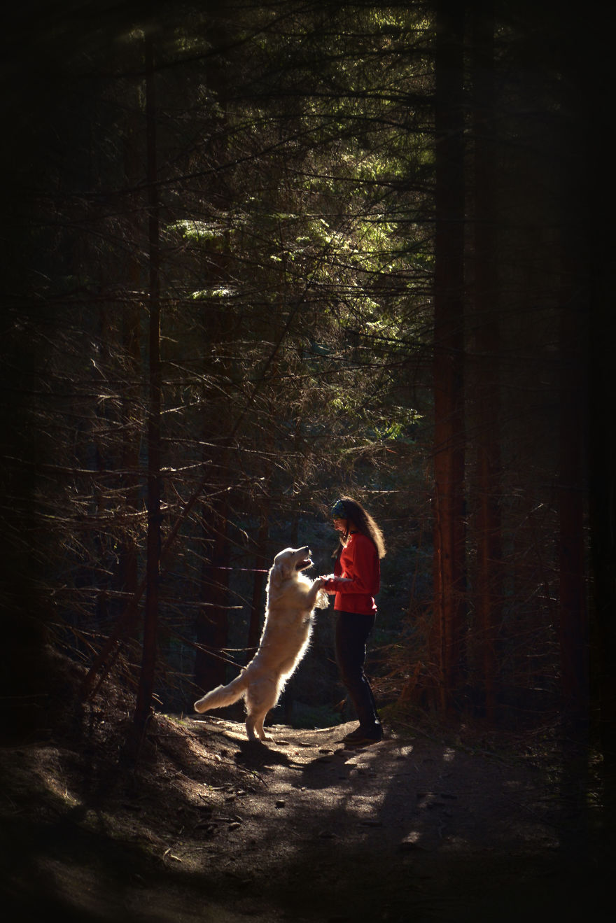 I Travel Romania With My Golden Retriever Geena Who Is The Best Travel Companion I Travel Romania With My Golden Retriever Geena Who Is The Best Travel Companion