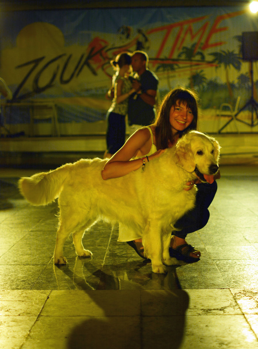 I Travel Romania With My Golden Retriever Geena Who Is The Best Travel Companion I Travel Romania With My Golden Retriever Geena Who Is The Best Travel Companion