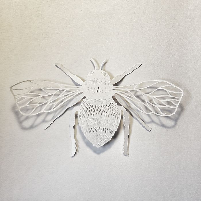 I Make My Artwork Using Only A Simple Sheet Of Paper