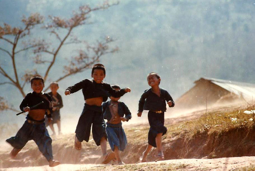'i Study These Pea Flowers To Help Combat Global Warming'