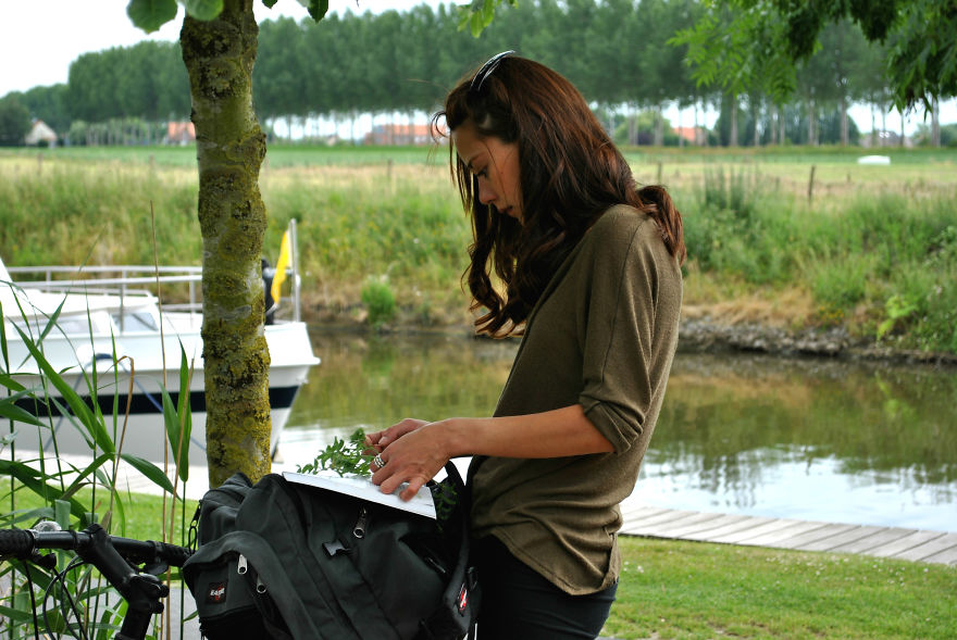 'i Study These Pea Flowers To Help Combat Global Warming' 'i Study These Pea Flowers To Help Combat Global Warming'