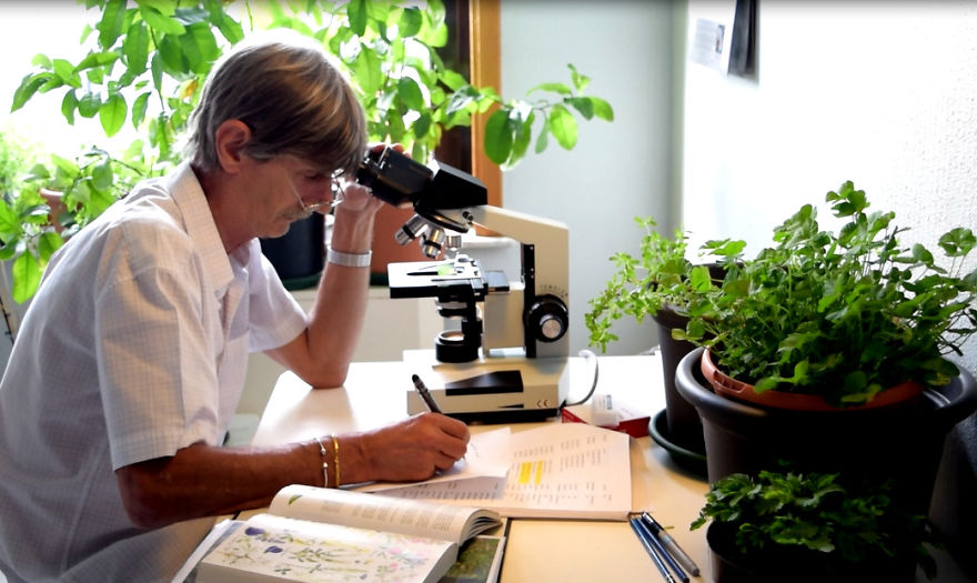 'i Study These Pea Flowers To Help Combat Global Warming'