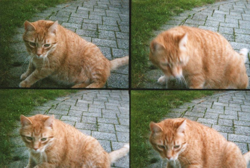 I Take Analogue Photos With A Multilens Camera (part 2)