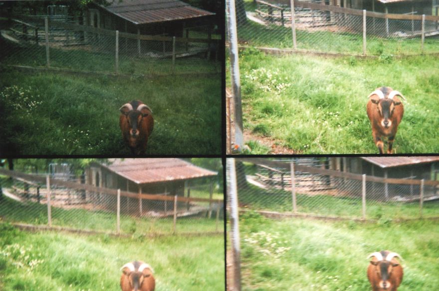 I Take Analogue Photos With A Multilens Camera (part 2)