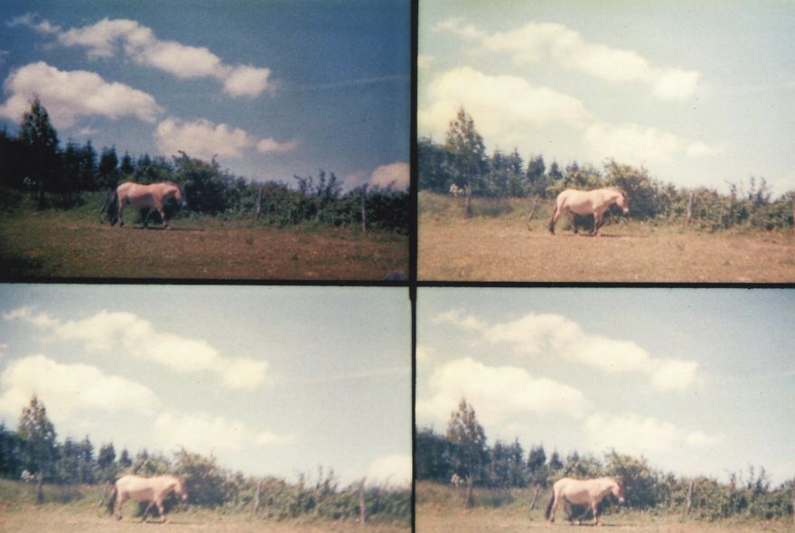 I Take Analogue Photos With A Multilens Camera (part 2)