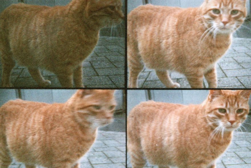 I Take Analogue Photos With A Multilens Camera (part 2)