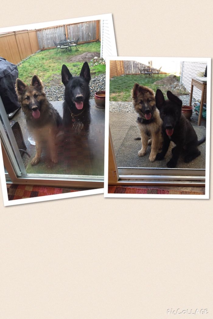 Now And Then Sister And Brother 💖