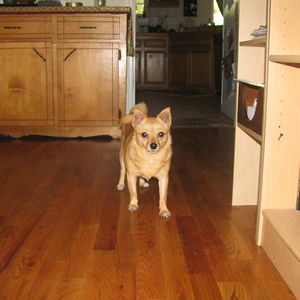 joel_blackburn avatar