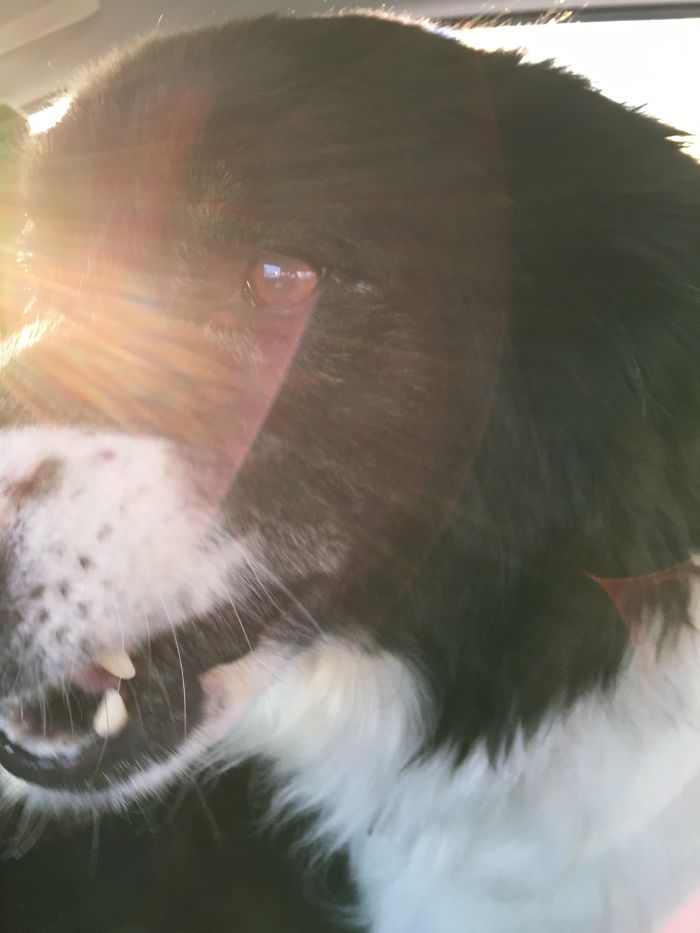 Before "good Girl Keyla"