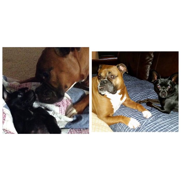 Boots And Kate Then And Now