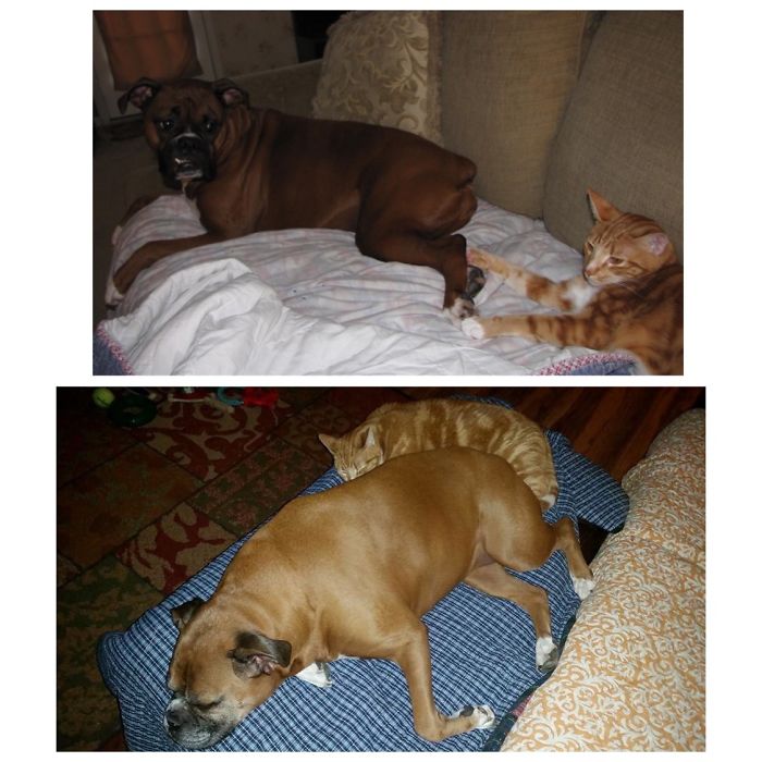 Boots And Dale 4 Years Later