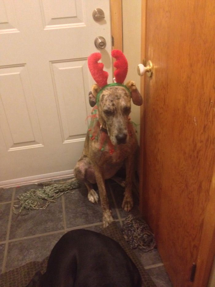 Not Impressed, I'm So Embarrassed!