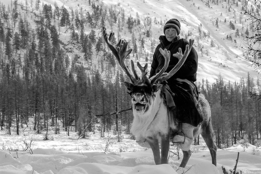 I Documented Mongolia's Mystical Tsaatan Reindeer People