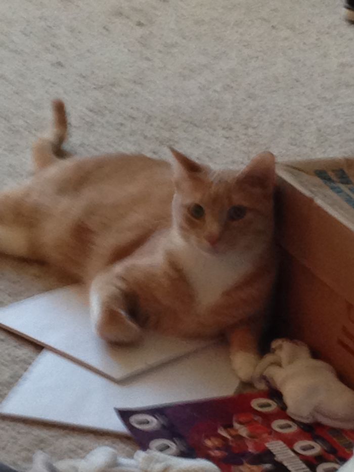 Before And After Being Called A Good Boy (just Sat There)