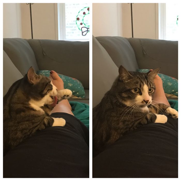 He Does Not Want To Be A Good Boy...