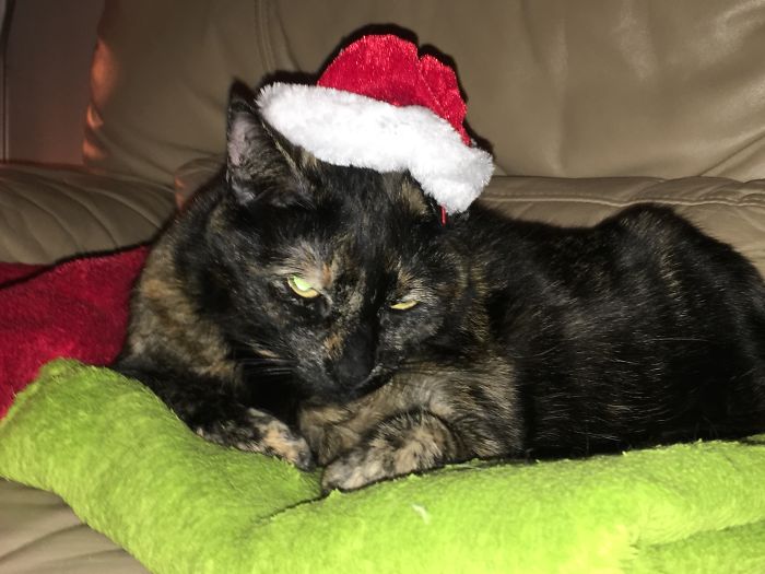 And This Was The Moment I Thought Lola Was Going To Kill Me...