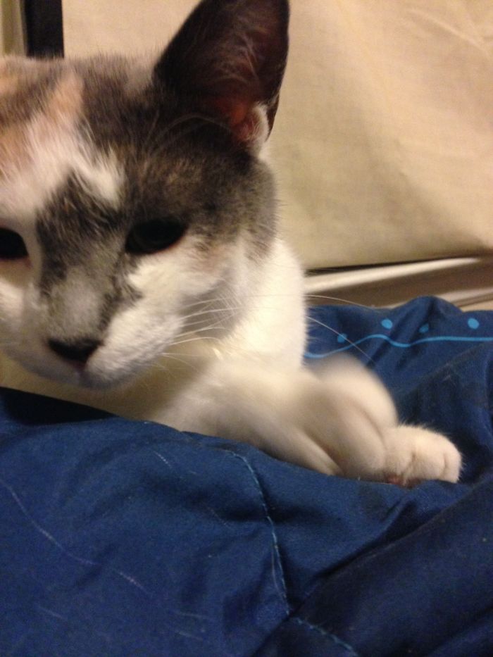 Calypso Before And After