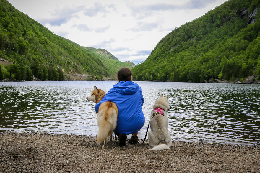 My Beautiful Huskies Helped Me Overcome Clinical Depression And Get On My Feet Again My Beautiful Huskies Helped Me Overcome Clinical Depression And Get On My Feet Again