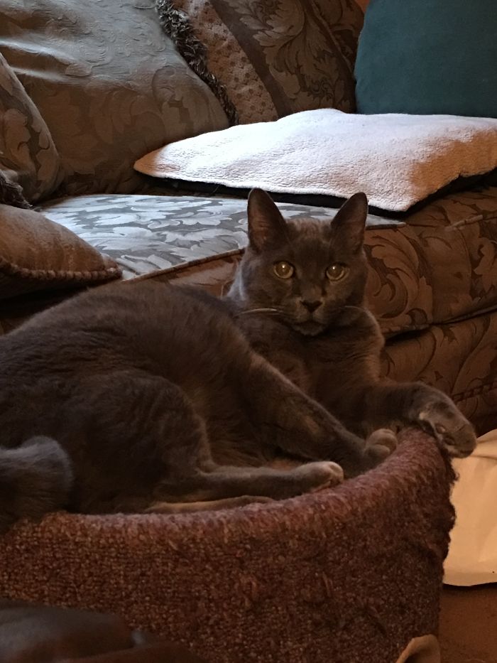 After Being Called A "good Buddy"