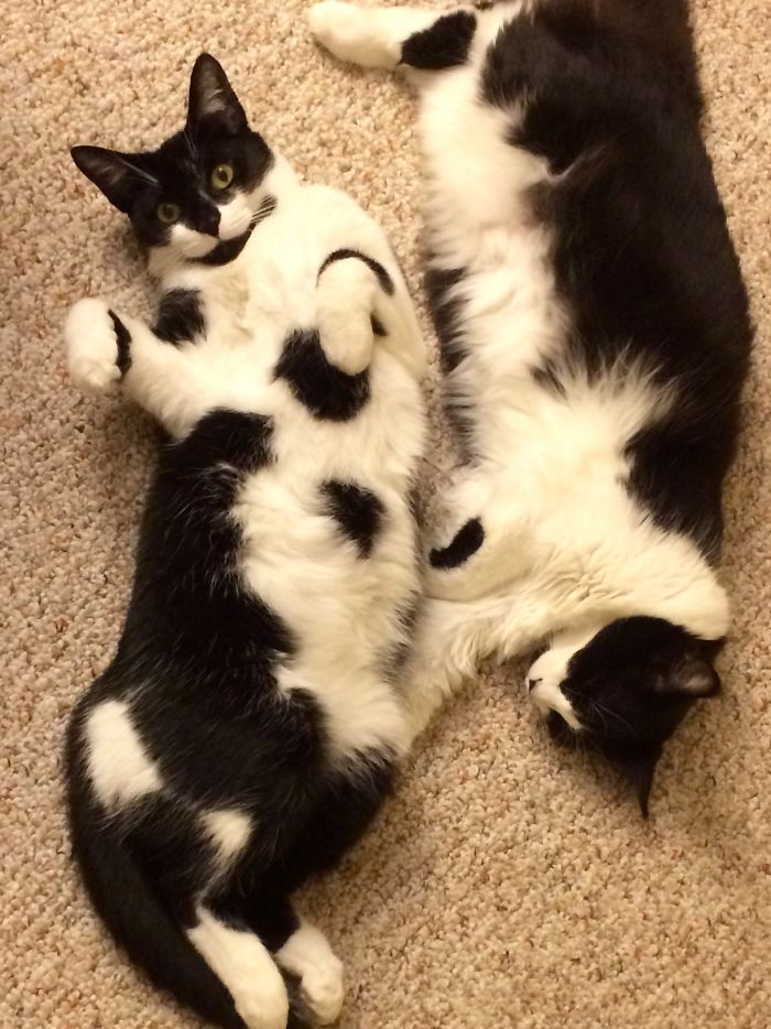 Momma Melody And Baby Sophia