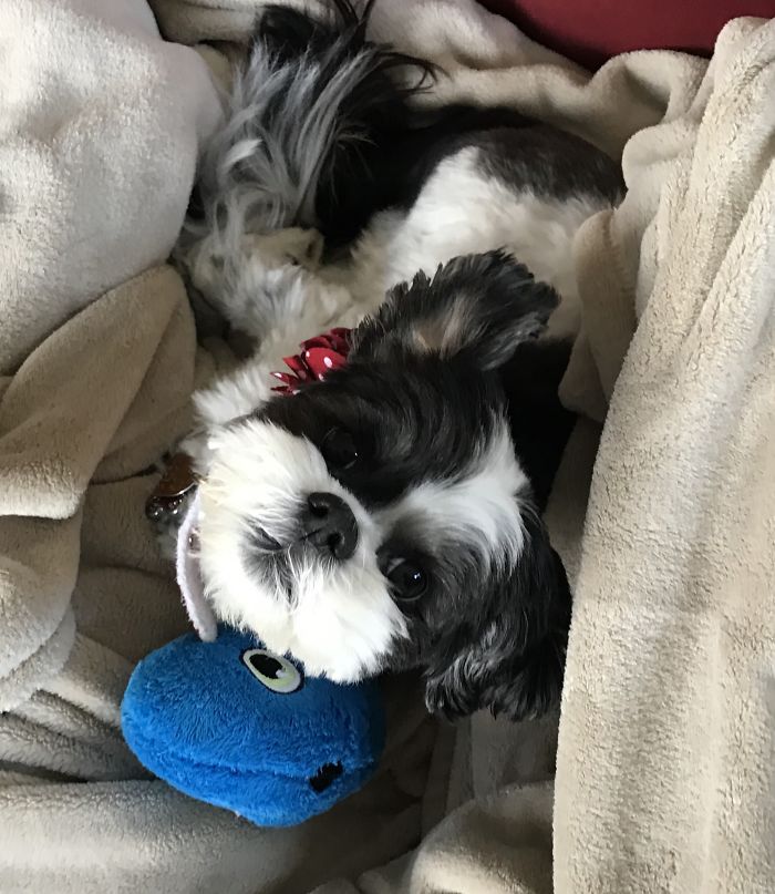 Before And After Being Called A Good Girl