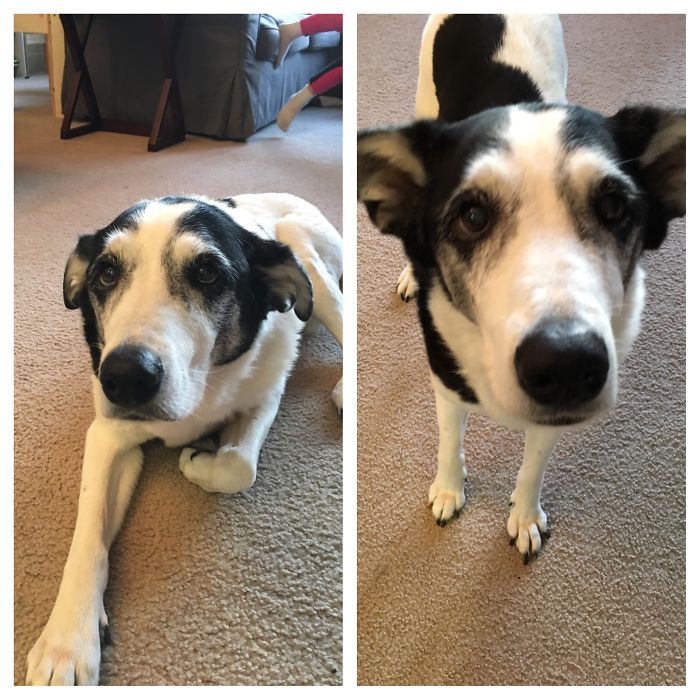 Told Her She Was A Good Girl