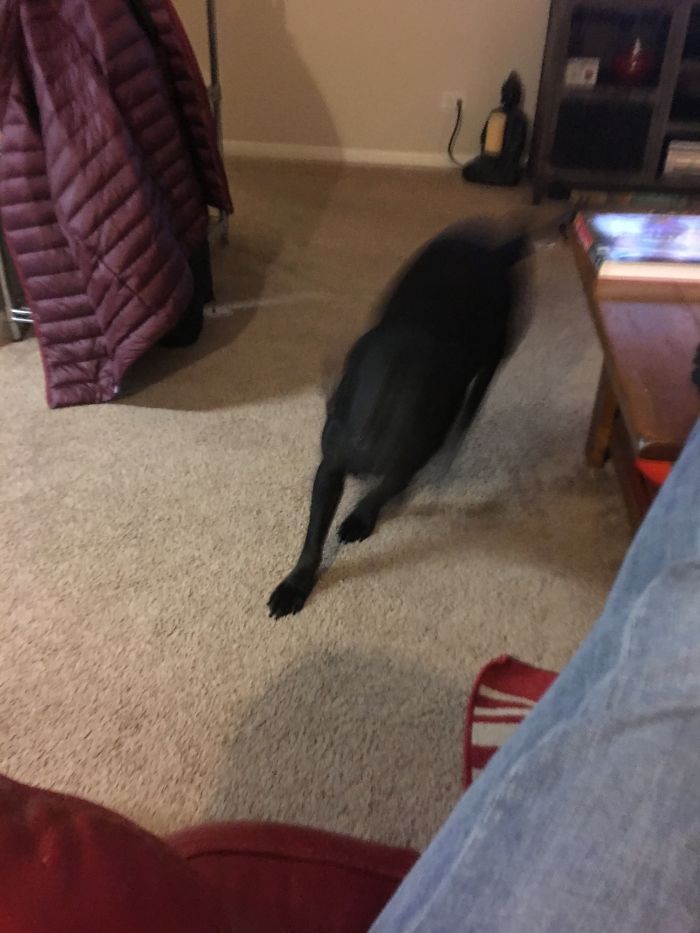 Before And After Being Called A Good Boy.