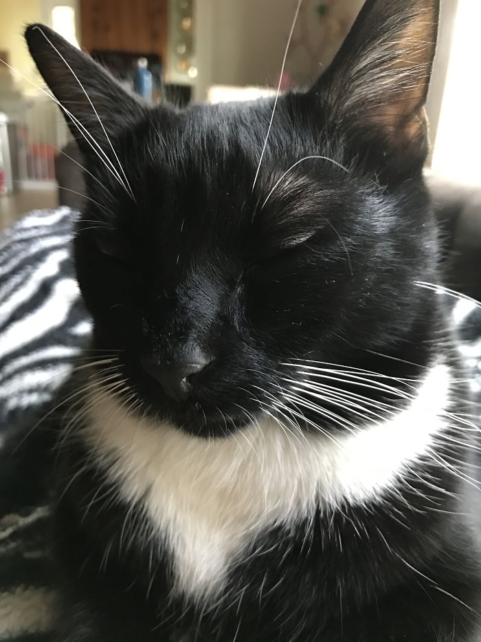 Before And After Being Called A "good Boy".